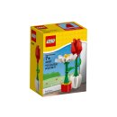 LEGO®  40187 - Blumenpracht