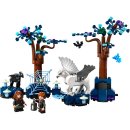 LEGO® Harry Potter 76432 - Der verbotene Wald™: Magische Wesen