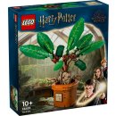 LEGO® Harry Potter 76433 - Zaubertrankpflanze: Alraune