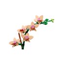 LEGO® Botanical Collection - 10343 Mini-Orchidee