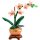 LEGO® Botanical Collection - 10343 Mini-Orchidee