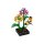 LEGO® Botanicals 5009408 - Schmetterlingsgarten