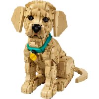 LEGO® ICONS 11384 - Golden Retriever Welpe