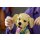 LEGO® ICONS 11384 - Golden Retriever Welpe