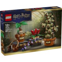 LEGO® Harry Potter 76474 - Schloss Hogwarts:...