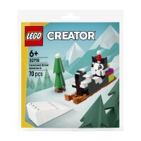 LEGO® Creator 30718 - Cataclaws Schneeabenteuer