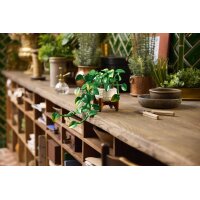 LEGO® Botanicals 11512 - Hängende Efeutute