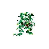 LEGO® Botanicals 11512 - Hängende Efeutute