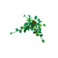 LEGO® Botanicals 11512 - Hängende Efeutute